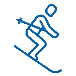 29 Abfahrten gesamt (Ski & Rodel)